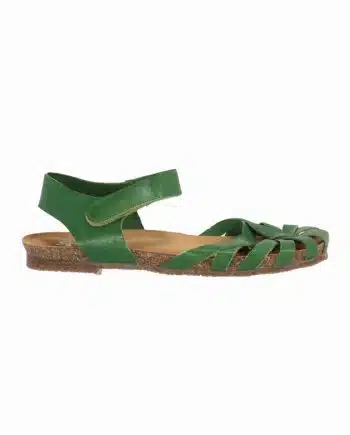 GREENOVA