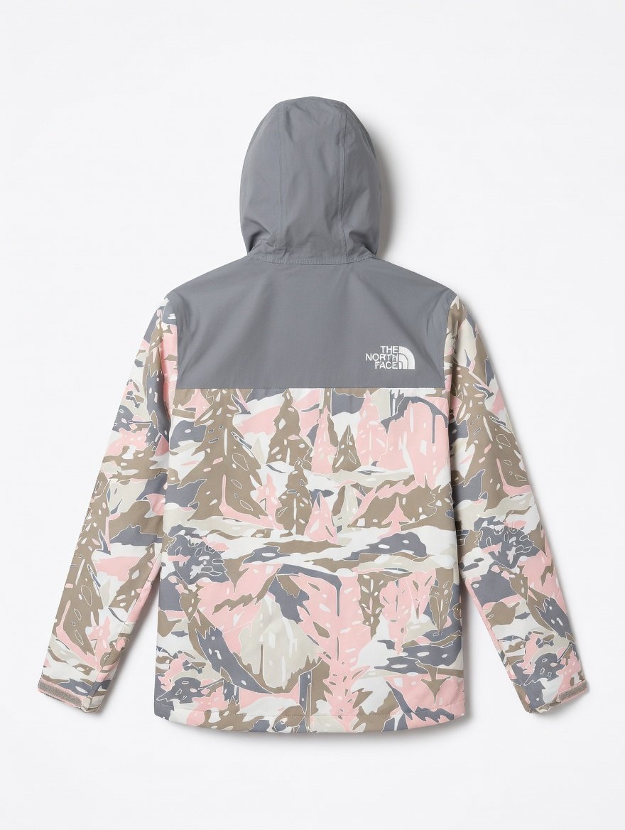 THE NORTH FACE