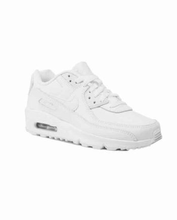 NIKE Air Max 90 LTR