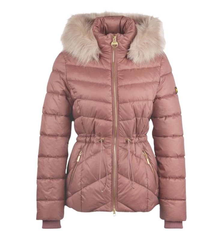 BARBOUR