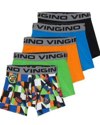 VINGINO