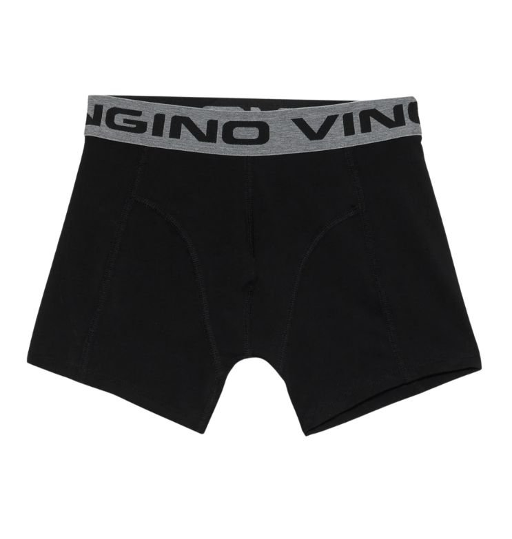 VINGINO