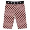 MARNI