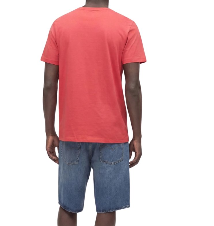 GAP