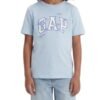 GAP