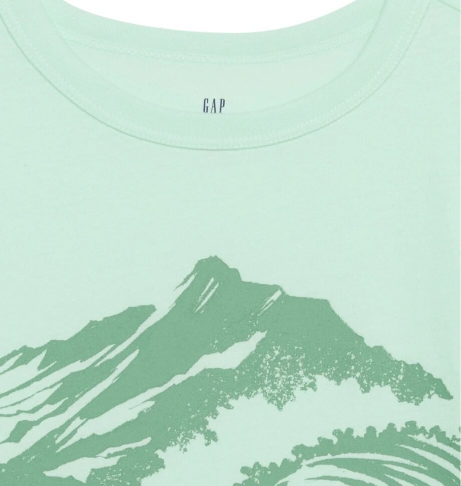 GAP